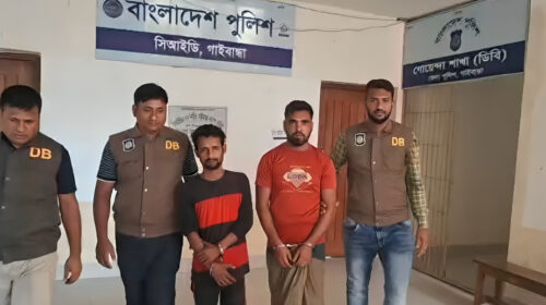 গাইবান্ধায় গাঁজার গাছসহ মাদকবিরোধী অভিযানে দুই আসামি গ্রেপ্তার
