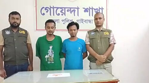 গাইবান্ধায় ১০০ পিস ইয়াবাসহ দুই ভাই গ্রেপ্তার, বাবা পলাতক