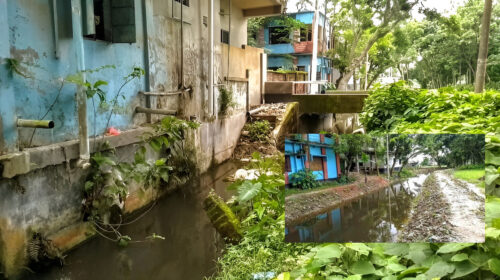 বরাদ্দ পেলেও খনন হয়নি দুই খাল, গাইবান্ধায় সরকারি কোষাগারে ফেরত গেল ৫৭ লাখ টাকা