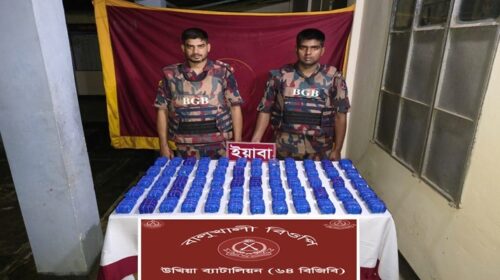 উখিয়া সীমান্তে বিজিবির অভিযানে ৬ লাখ ৭২ হাজার ইয়াবা উদ্ধার
