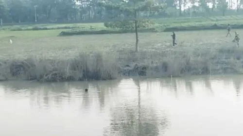 দৌলতপুর সীমান্তে পুশ-ইনের চেষ্টা ঠেকাল বিজিবি, ফিরে গেলেন ভারতীয় ভূখণ্ডে