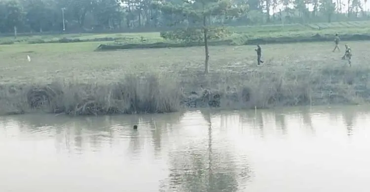 দৌলতপুর সীমান্তে পুশ-ইনের চেষ্টা ঠেকাল বিজিবি, ফিরে গেলেন ভারতীয় ভূখণ্ডে