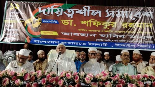 তেল, গ্যাস ও বিদ্যুৎ সংকট সমাধানে সরকারকে সহযোগিতা করতে চেয়েছিলাম: শফিকুর রহমান