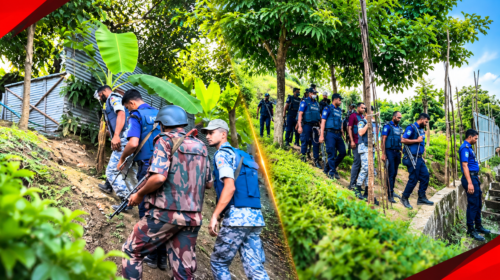 জঙ্গল সলিমপুরে যৌথ বাহিনীর অভিযান, বিভিন্ন স্থানে চলছে তল্লাশি