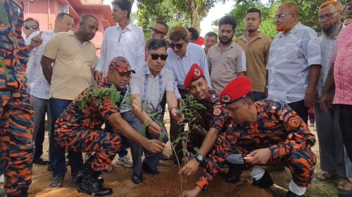 বিএনপির ৪৮তম প্রতিষ্ঠাবার্ষিকী উপলক্ষে পোনা অবমুক্ত ও বৃক্ষরোপণ