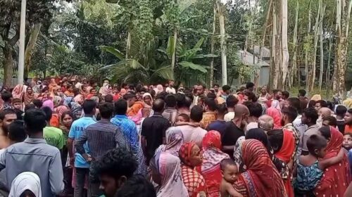 ছেলেকে বাঁচাতে গিয়ে বিলের পানিতে প্রাণ গেল বাবার