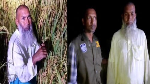 জয়পুরহাটের কালাই সীমান্তে ধানক্ষেত থেকে আ.লীগ নেতা গ্রেপ্তার
