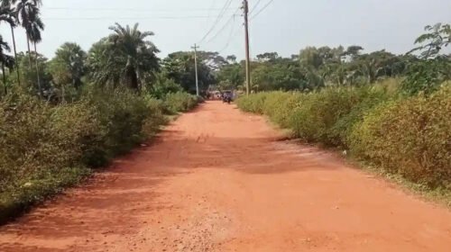 গাছ কাটার জটিলতায় মঠবাড়িয়া-মিরুখালী সড়কের কাজ ঝুলে আছে কয়েক বছর
