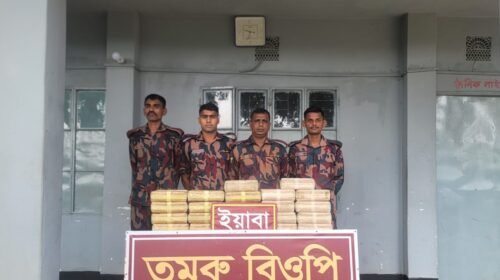 তুমব্রু সীমান্তে বিজিবির অভিযানে ৪ লাখ ২০ হাজার পিস ইয়াবা জব্দ