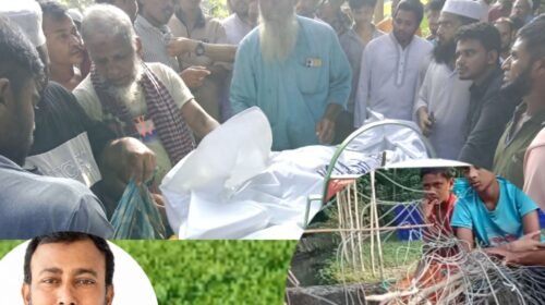 ধানখেতে ইঁদুর মারার বৈদ্যুতিক ফাঁদে প্রাণ গেল কৃষকের