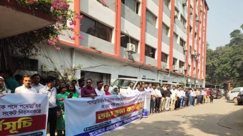 ৩৭তম বিসিএসের প্রভাষক পদেই আটকে, অন্য ক্যাডারে ৩৮তম বিসিএসের পদোন্নতি!