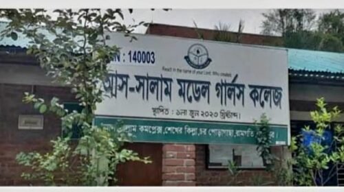 রামগতিতে আস-সালাম মডেল গার্লস কলেজের সাফল্য, পাসের হার ৮৮.২৪%